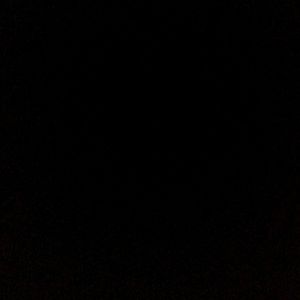 Meet your Posher, Bailey